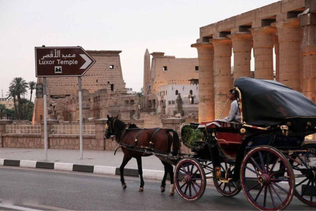 Luxor: Camel or Horse Carriage Ride